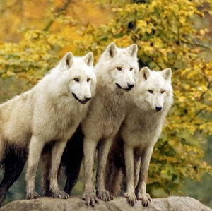 Meet your Posher, Juan pablo